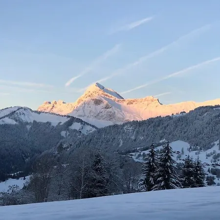 De Standing En Savoie *